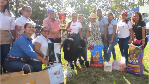 Rose Gitana perro caniche gigante campeona